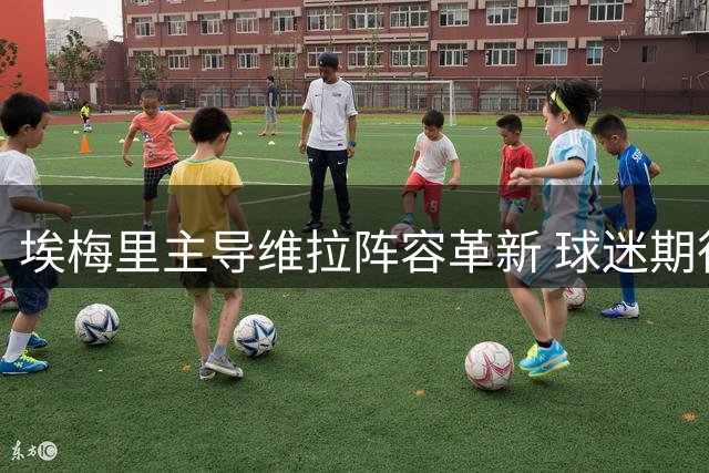 埃梅里主导维拉阵容革新 球迷期待全新赛季表现